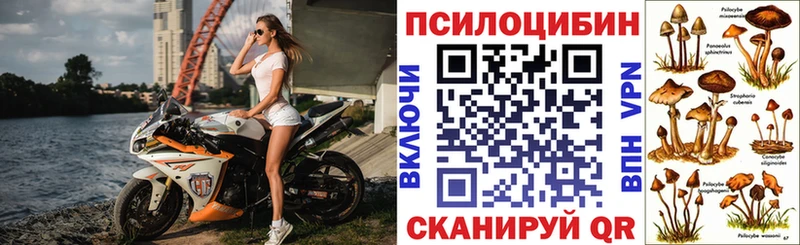 Псилоцибиновые грибы ЛСД  закладки  Свободный 
