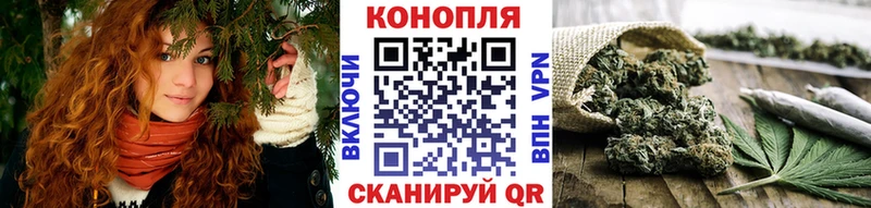 kraken рабочий сайт Свободный Шишки марихуана индика купить наркоту